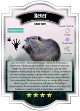 Last inn bildet i Galleri-visningsprogrammet, Artsjakten dyrearter