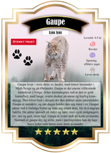 Last inn bildet i Galleri-visningsprogrammet, Artsjakten dyrearter